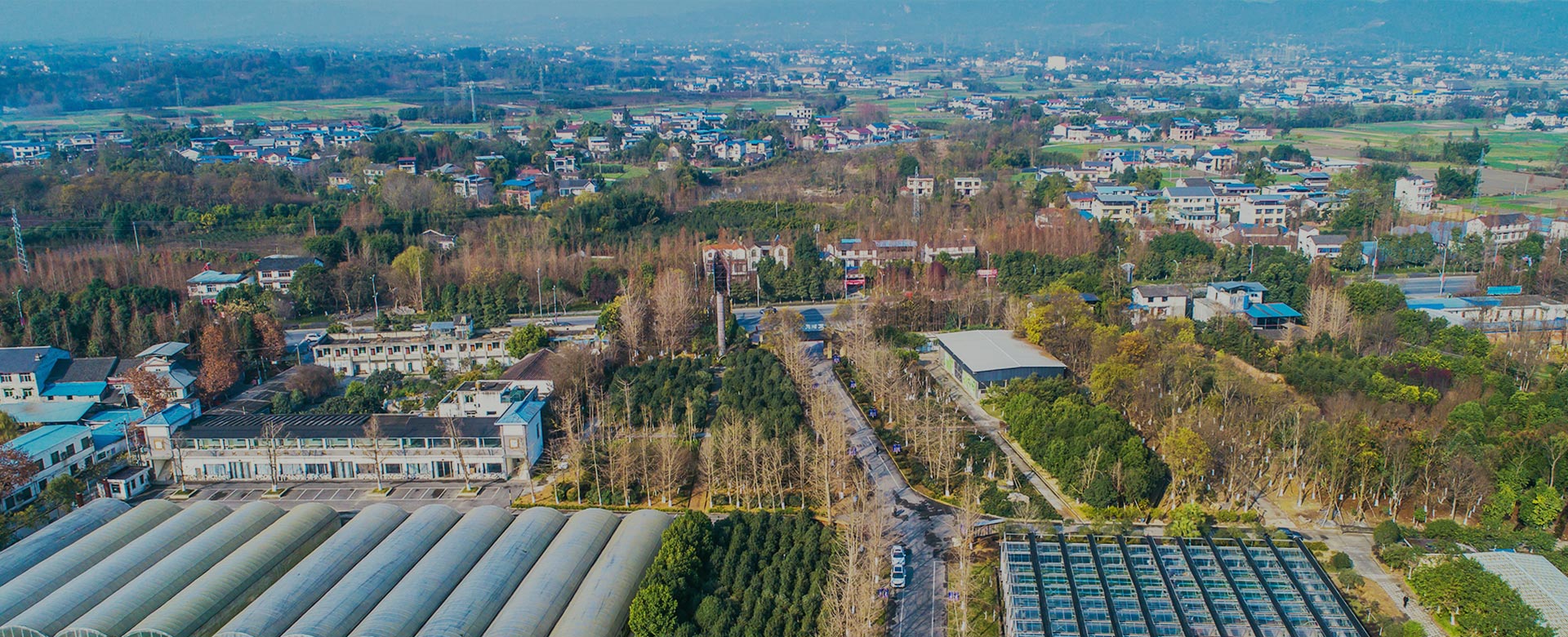 蔬菜品種育苗、示范推廣、基地種植、農(nóng)產(chǎn)品生產(chǎn)、加工 、銷(xiāo)售